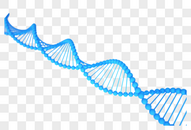 DNA基因链条图片