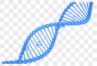 DNA基因链条图片