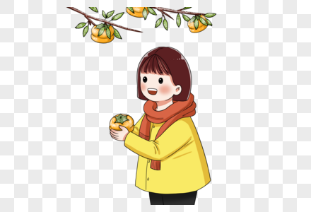 女孩摘下落霜的柿子图片