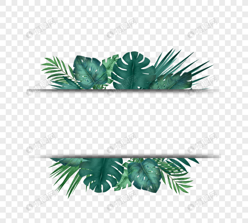 绿色热带植物棕榈叶边框图片