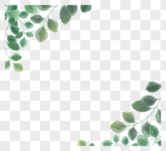 绿色简单桉树叶边框图片