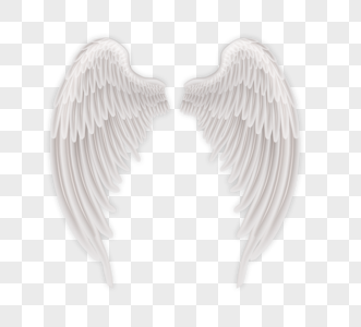 白色天使翅膀羽翼图片