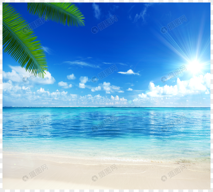 在清新夏日阳光元素素材下载 正版素材 摄图网