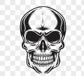 黑色骷髅正面像图片素材
