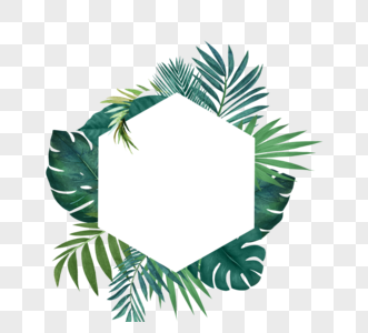 简单绿色棕榈六角形边框高清图片