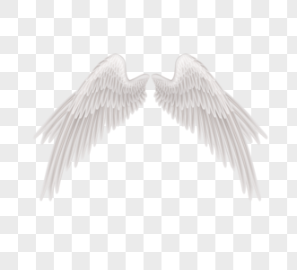 白色天使翅膀翼羽图片