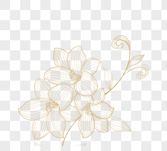 金线描花卉植物高清图片