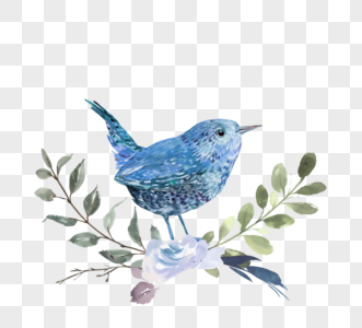 蓝鸟水彩手绘动物图片