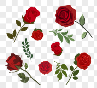 红色手绘浪漫情人节玫瑰元素图片