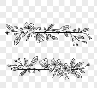 黑色手绘线侧婚礼装饰用植物花卉边框图片