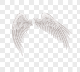 白色天使翅膀图片