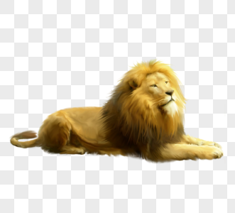 动物动物日狮王高清图片