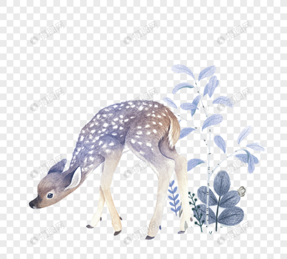 鹿手绘植物动物元素图片