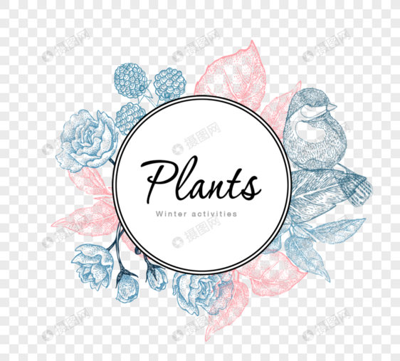 手绘素描植物边框图片