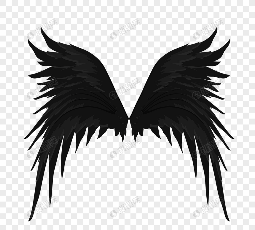 黑色堕落天使翅膀翼羽图片
