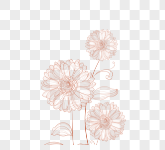 玫瑰金线描植物花卉图片
