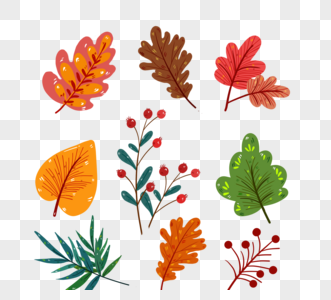 手绘秋季植物落叶图片