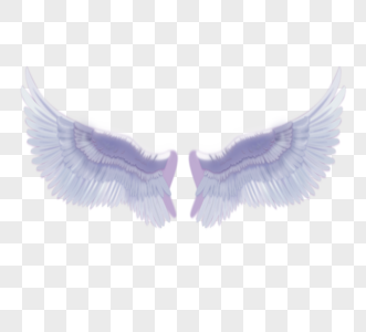 白色翅膀天使羽翼图片