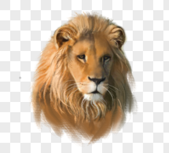 森林之王狮子手绘元素图片