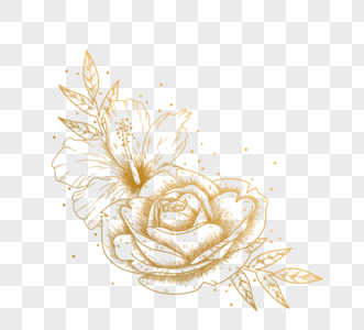 手绘金线花装饰玫瑰植物高清图片