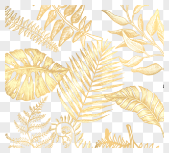 白色金色树叶元素图片