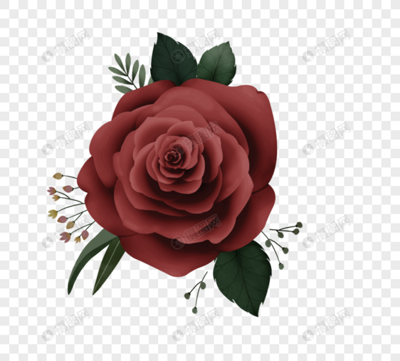 暗红勃艮第手绘玫瑰花图片