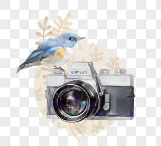 手绘水彩相机鸟元素图片
