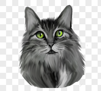 绿眼睛灰色猫咪头像元素图片