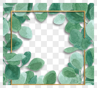 绿色植物桉树叶创意简约边框图片