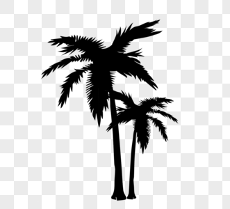 黑色棕榈树剪影高清图片