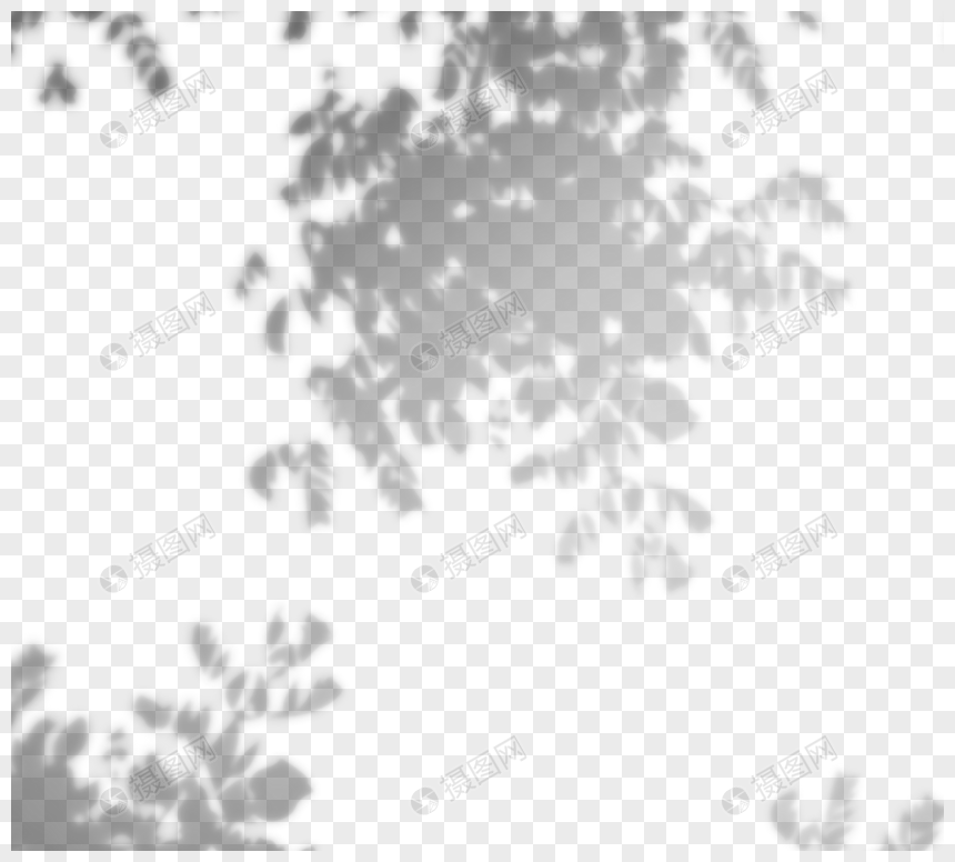 手绘创意树叶植物阴影图片