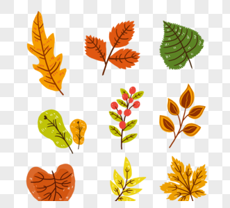 手绘秋季树叶落叶果实装饰画图片