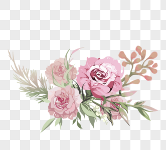 粉色玫瑰花春季植物花卉元素图片