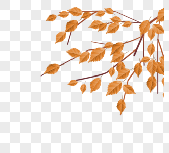 秋叶与枝条秋天秋叶矢量高清图片
