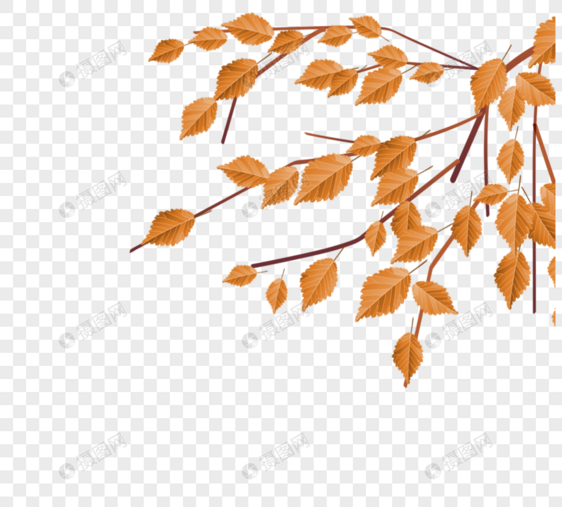 秋叶与枝条图片