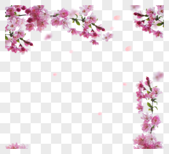 简约粉色实物樱花花枝框架元素图片