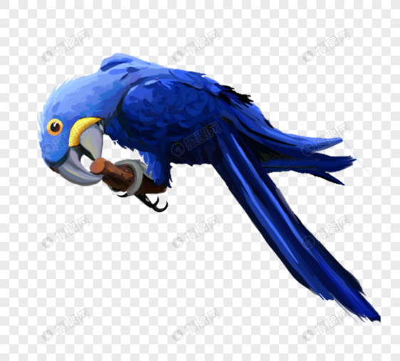 蓝色羽毛鹦鹉元素图片