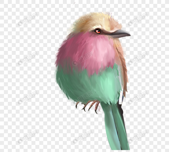 彩色手绘可爱小鸟元素图片