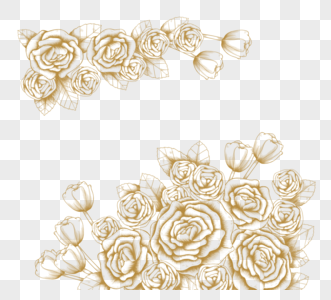 华丽大花玫瑰郁金香叶子花卉金色线条装饰图片