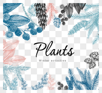 莫兰迪冬季素描植物图片