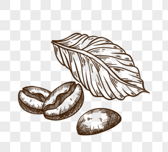 黑白线描咖啡豆元素图片