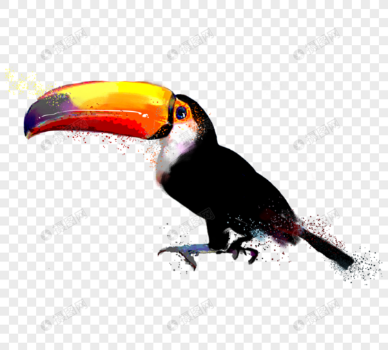 彩色大嘴鹦鹉手绘元素图片