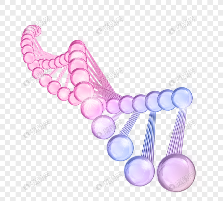 DNA分子结构元素图片