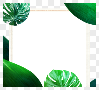绿色植物叶子边框元素图片