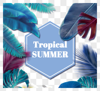 热带夏季矢量图片
