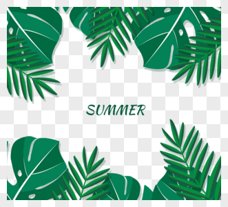 夏季热带龟叶棕榈树树叶边框图片