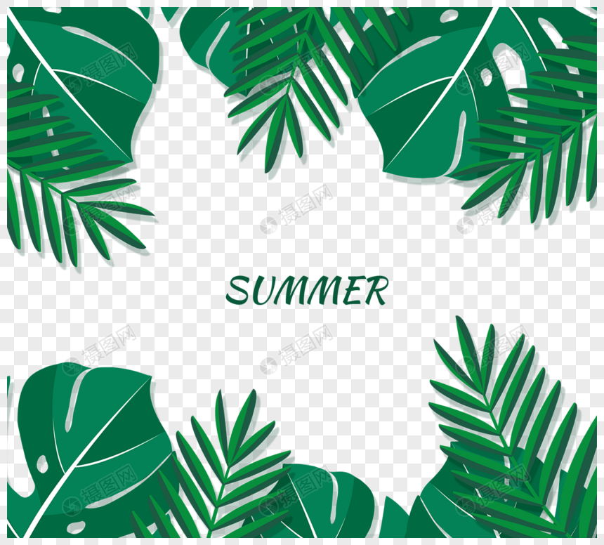 夏季热带龟叶棕榈树树叶边框图片