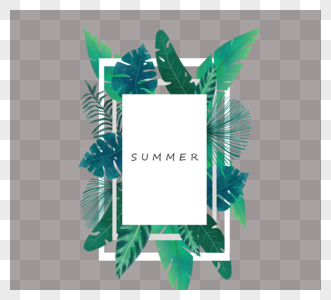 夏日绿色边框清新淡雅元素热带叶子图片