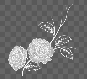 手绘白色线描花朵元素图片