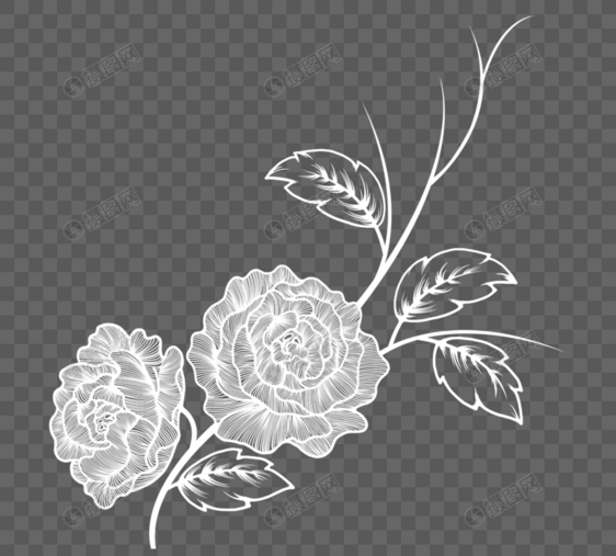 手绘白色线描花朵元素图片